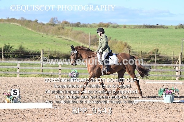 BPP_9543 - SHORT ARENA
