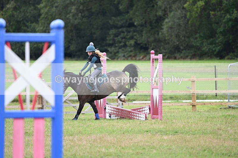 WJ6_0323 - 40cm Time 10:00 to 10:28