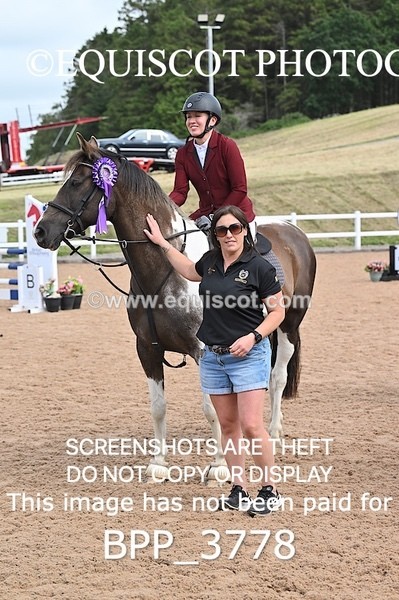 BPP_3778 - CLASS 1 WED Nupafeeds Senior Dicovery/1m open