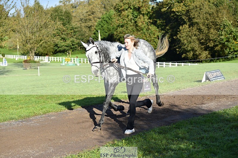 231022-100022-22177 - 451-THE.GREY.DANCER-Alice.Sandiford-TrotUp+SJ