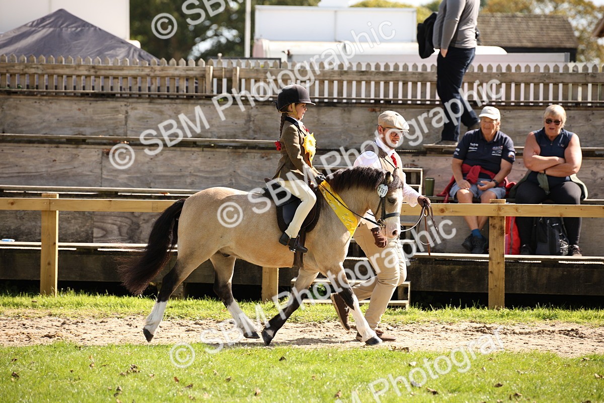 SBM_40890 - Fun Showing Supreme Championship