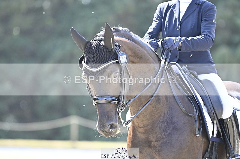 250810A-111626-05342 - 106-Lynn.WickesFurstino