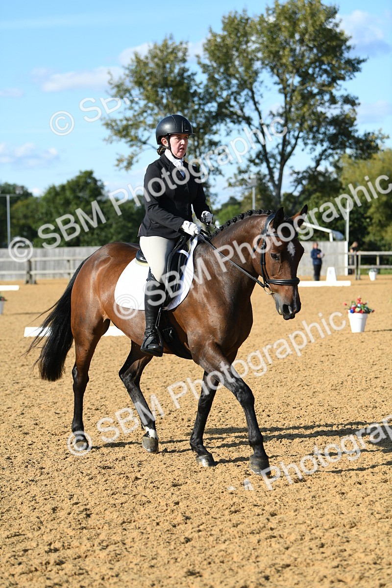 SBM_28432 - D16 - Small Tour Championship - Novice 28