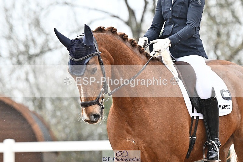 250215-113221-03207 - 257-Beth.Bainbridge-NEWTON.GLOVETROTTER