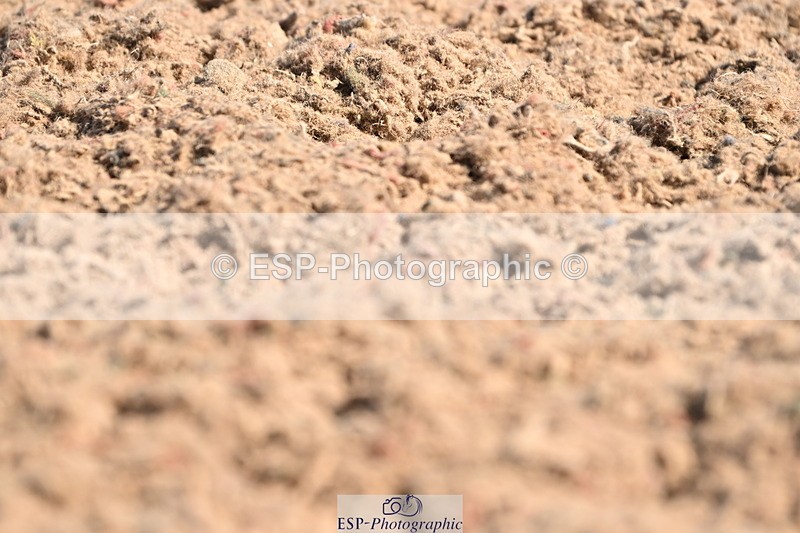 240621A-094818-01275 - Cls 4 BD Novice 22