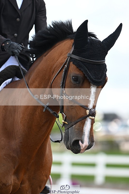 240621A-113056-02340 - Cls 5 BD Novice 37A