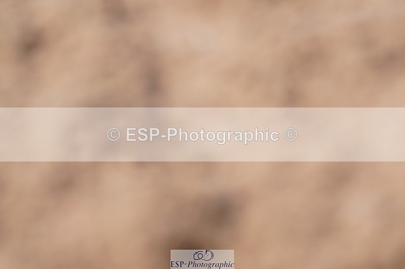 250621-161716-09692 - RoR Cls 4b-4c, Prelim