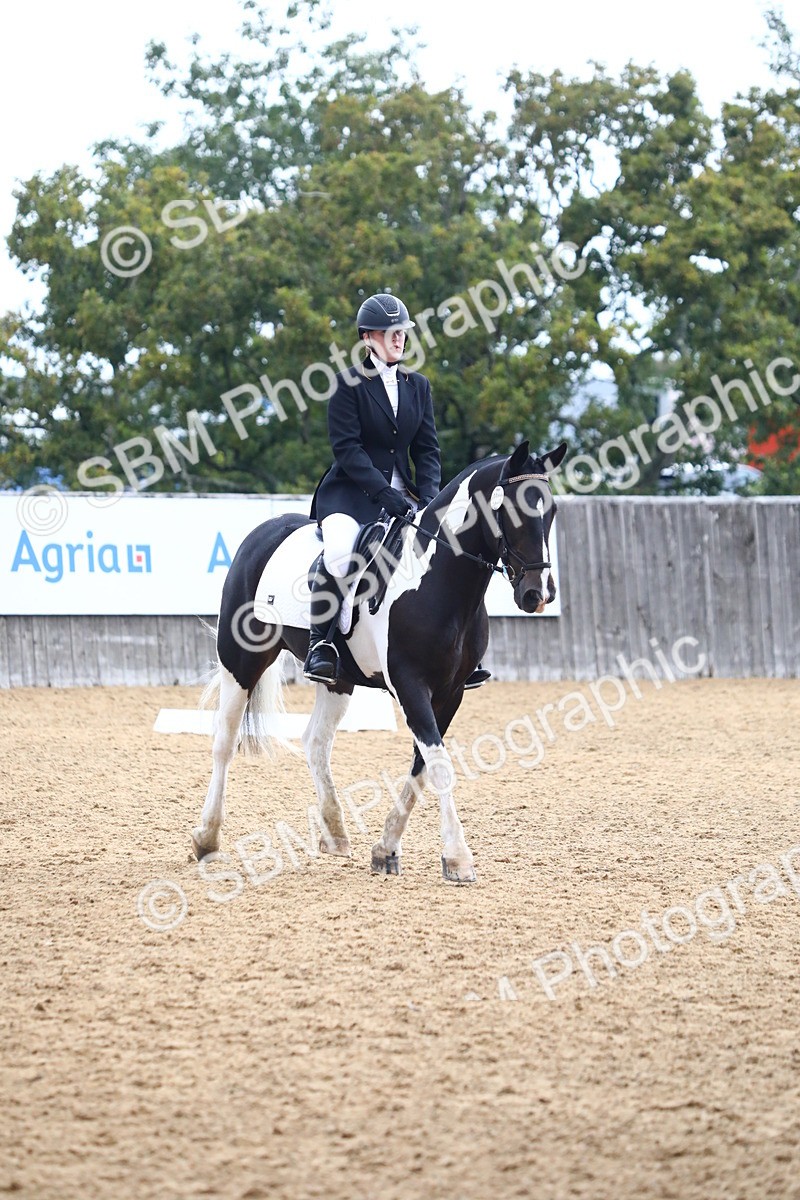 SBM_42751 - D21 - Junior Championship Intro 1