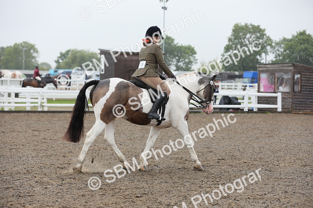 SBM_20610 - Class 804 - Ridden Veteran Pony