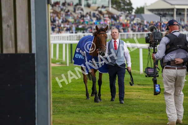 220824-Race 4-Content-7730 - Race 4 3.35pm Pertemps Network Yorkshire Oaks