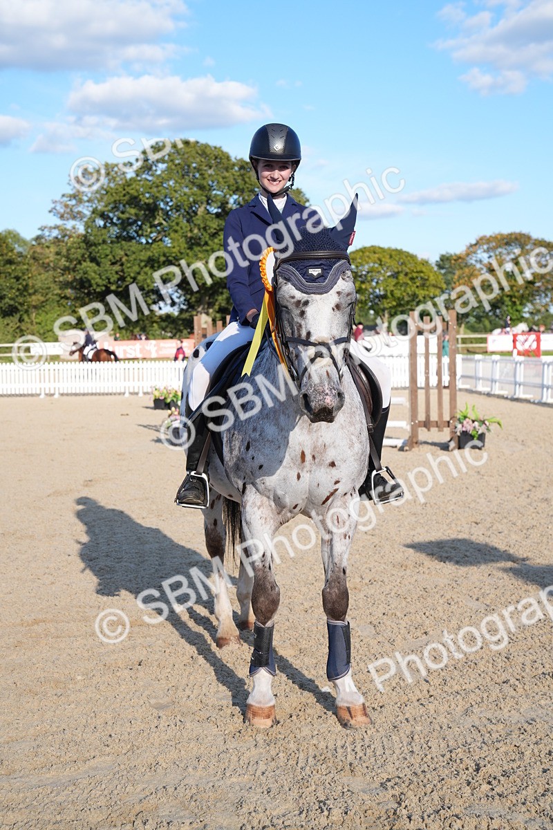 SBM_28047 - J43 - Super Speedy Scurry Open - 60cm