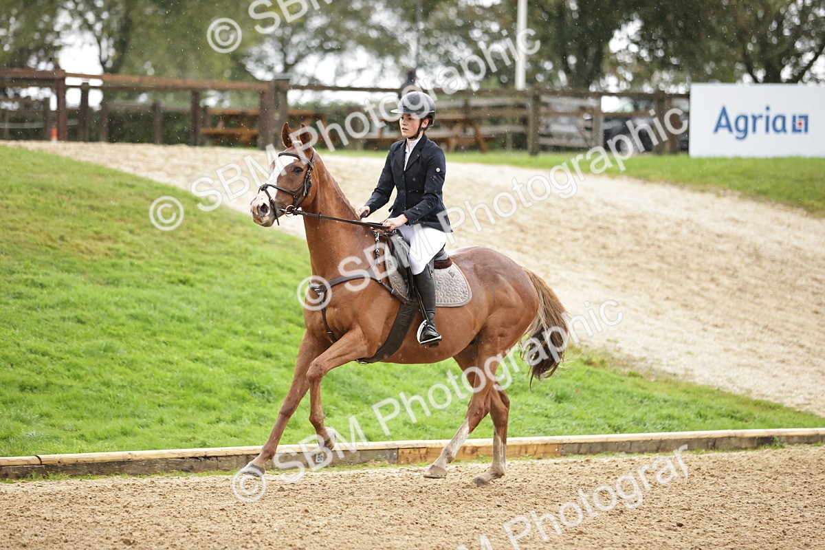 SBM_35880 - J38 - Senior Horse & Pony 80cm Championship