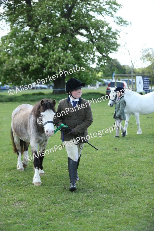 20250427-4131 - Class 11 - Best Child Handler