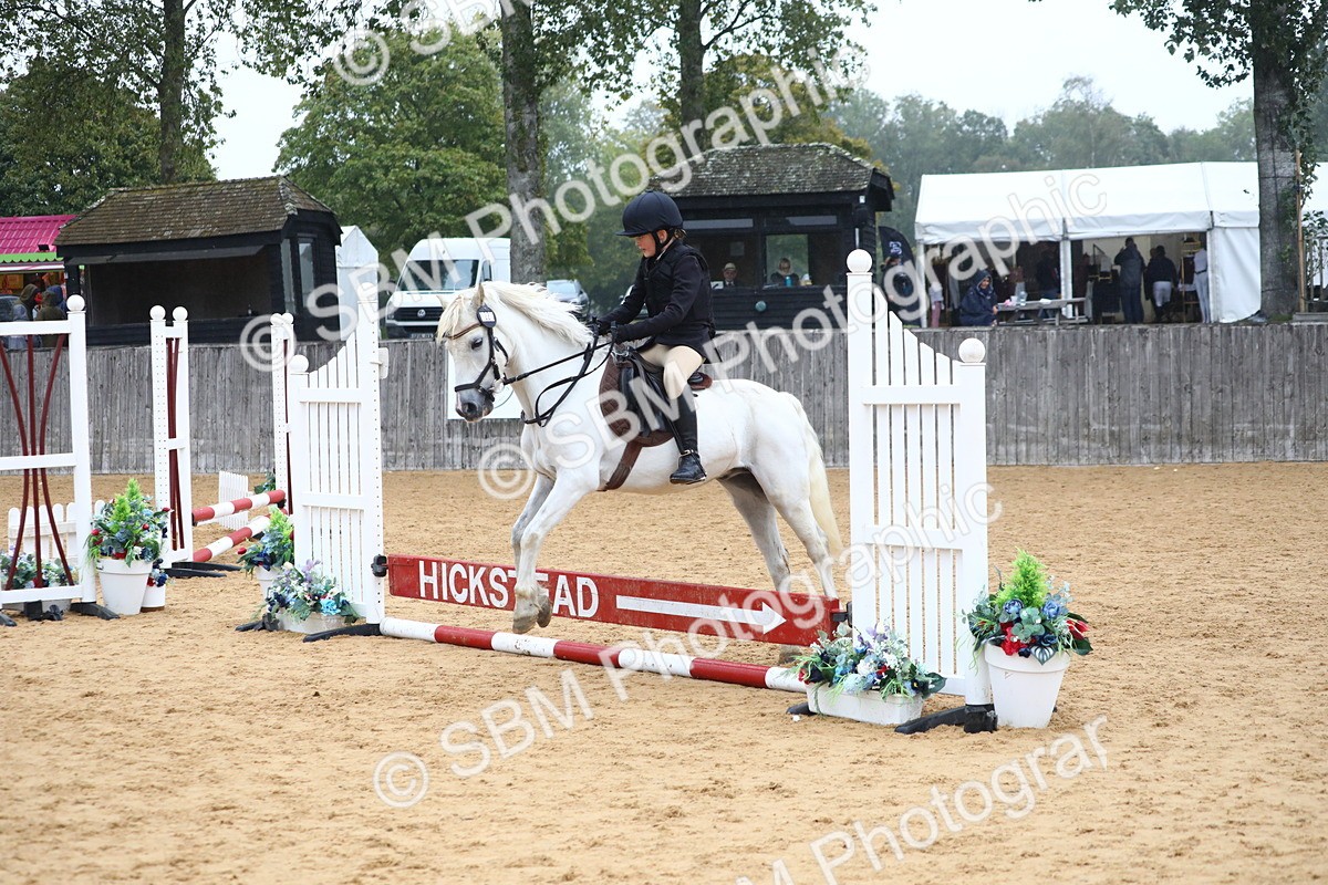 SBM_71683 - J4 - Mini Tour Junior Pony 45cm Championship