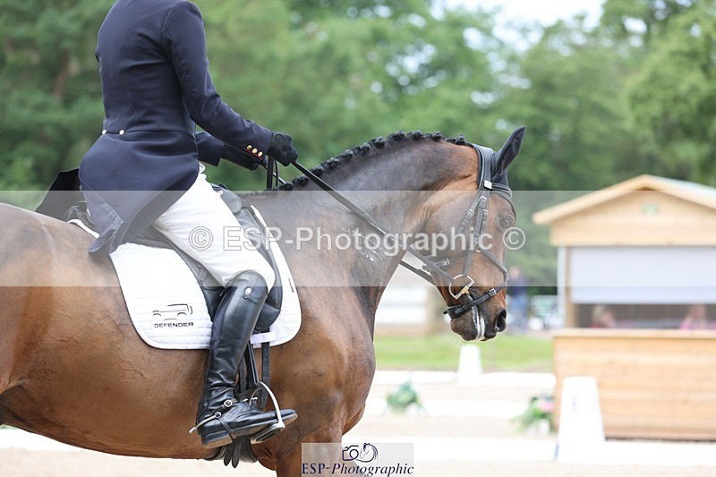 240524-101801-07363 - 260-WATERVALLEY_ROYAL_GUY-Harry_Meade