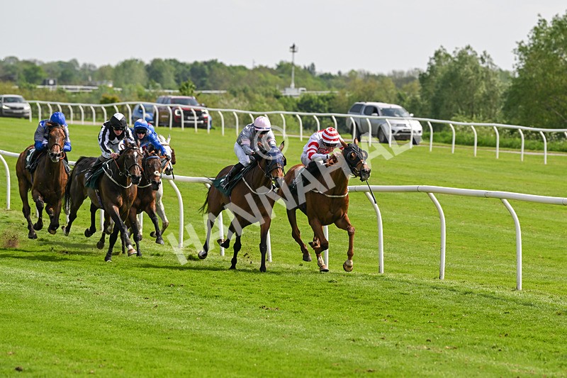 130524-Race 3-Animato-0238 - Race 3