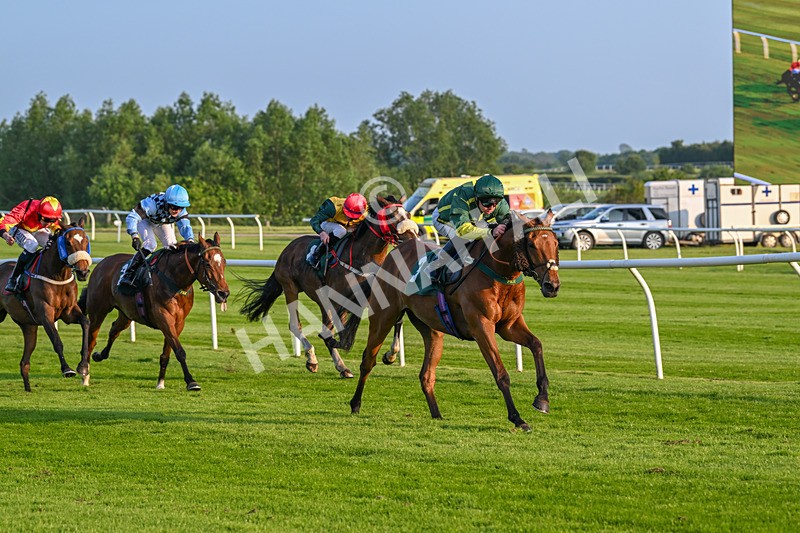 310524-Race 3-Lord Torranaga-8679 - Race 3