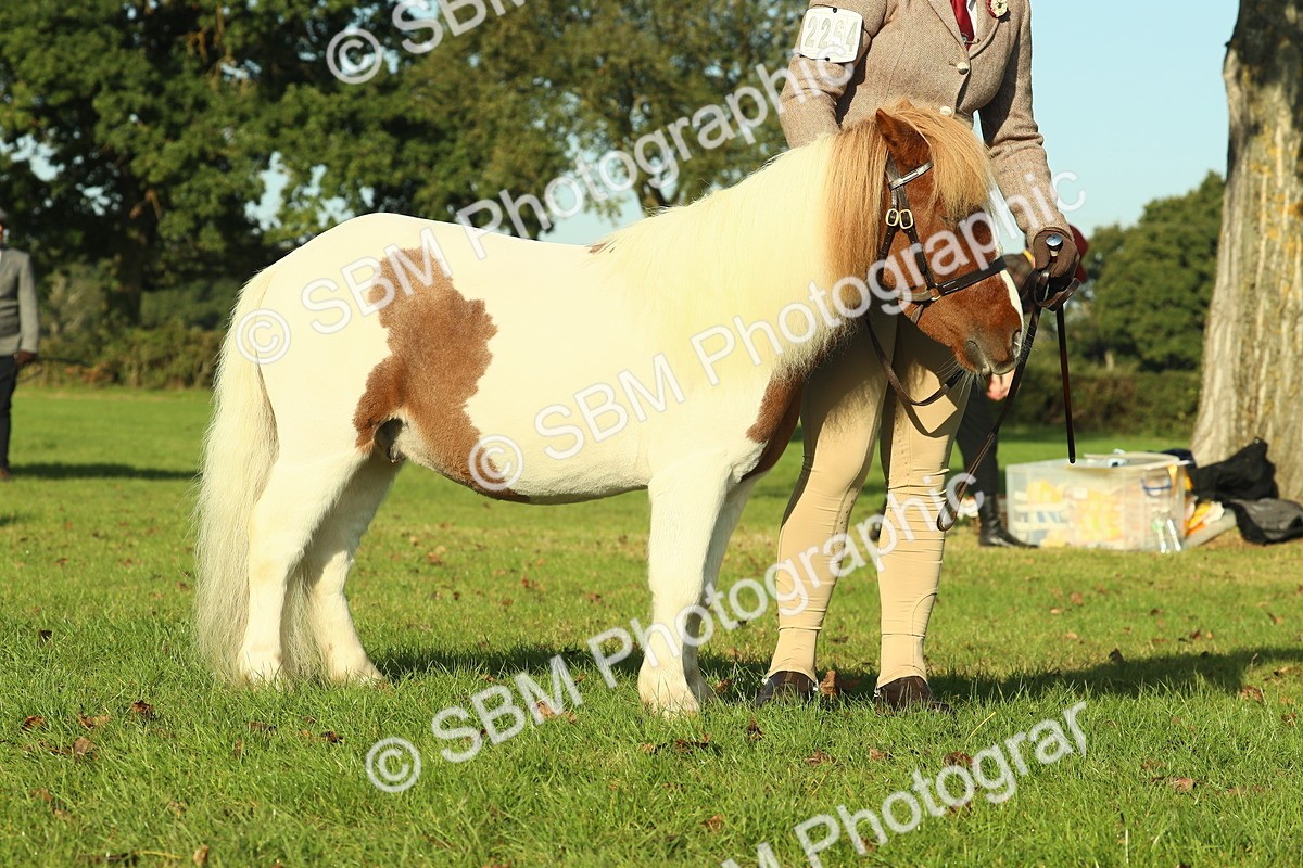 SBM_58576 - S37 - Starters In Hand Showing