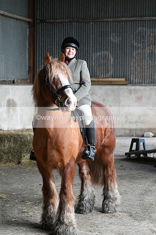 WJ7_8667 - Berks & Bucks - Rowles Farm 15-02-26