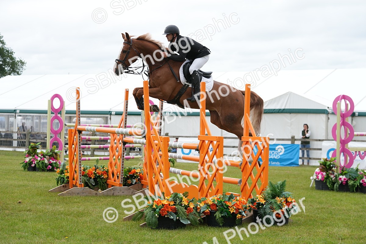 SBM_03218 - Class 201 - British Horse Feeds Speedi Beet Horse of the Year Show Grade  C
