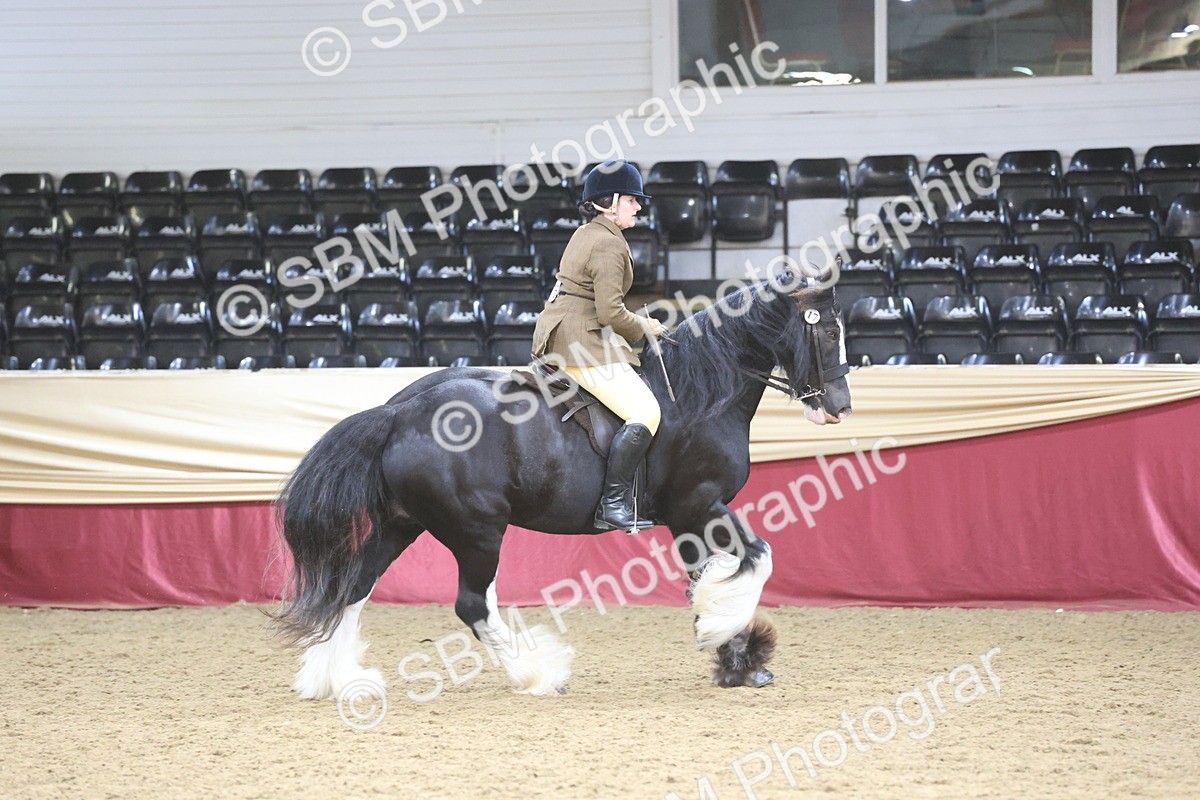 SBM_23808 - class 906 - Supreme Final - Ridden Pre Vet