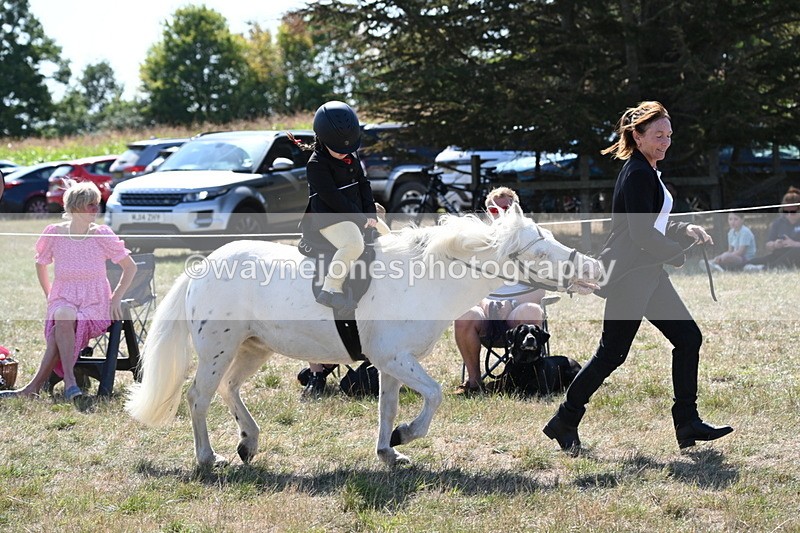 WJ6_7856 - Class 36 Lead Rein