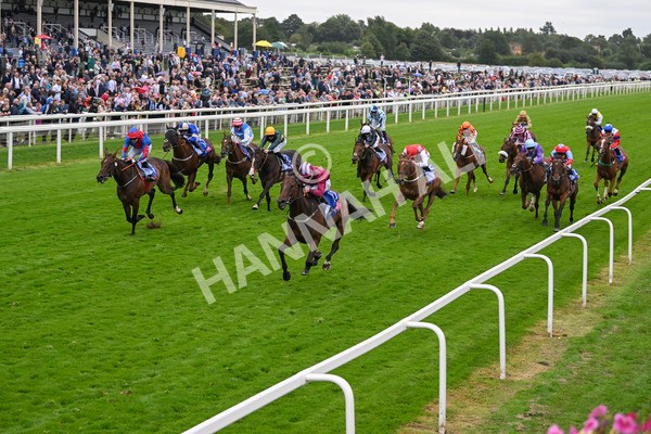 210824-Race 5-Extensio-5406 - Race 5 4.10pm Sky Bet Stayers Handicap