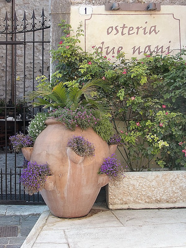 Osteria Due Nani, Garda - Travel, city/land scapes