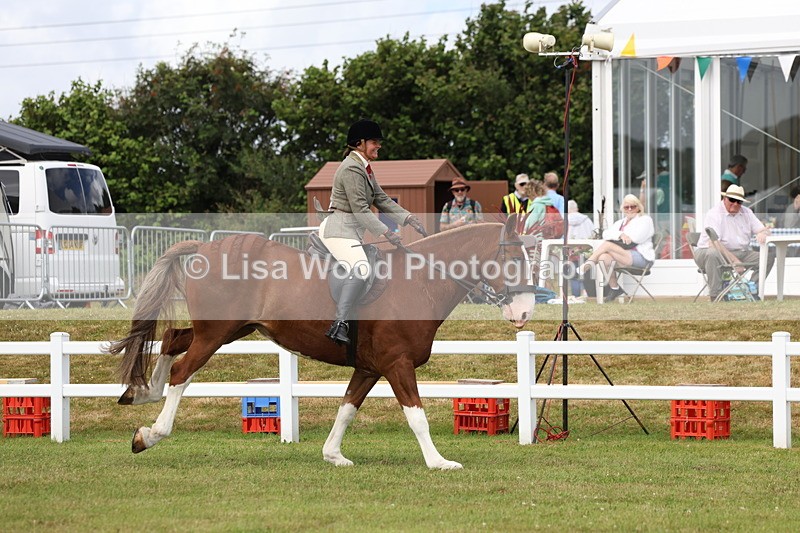 3E7A0297 - Class 6: Rising Star Maxi Cobs