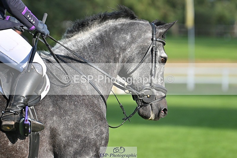 230909-172327-07573 - Cls 14 Snr 1m Derby