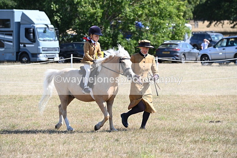WJ6_7737 - Class 36 Lead Rein