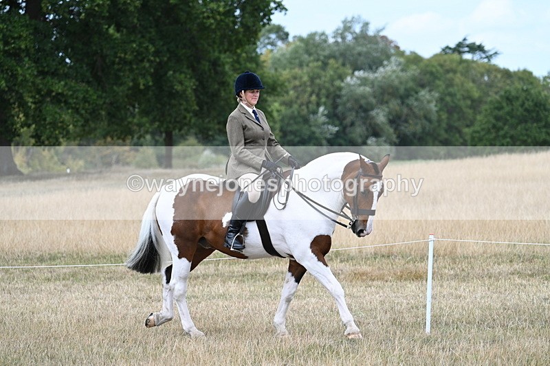 WJ7_4619 - Class 12 Ridden Cob