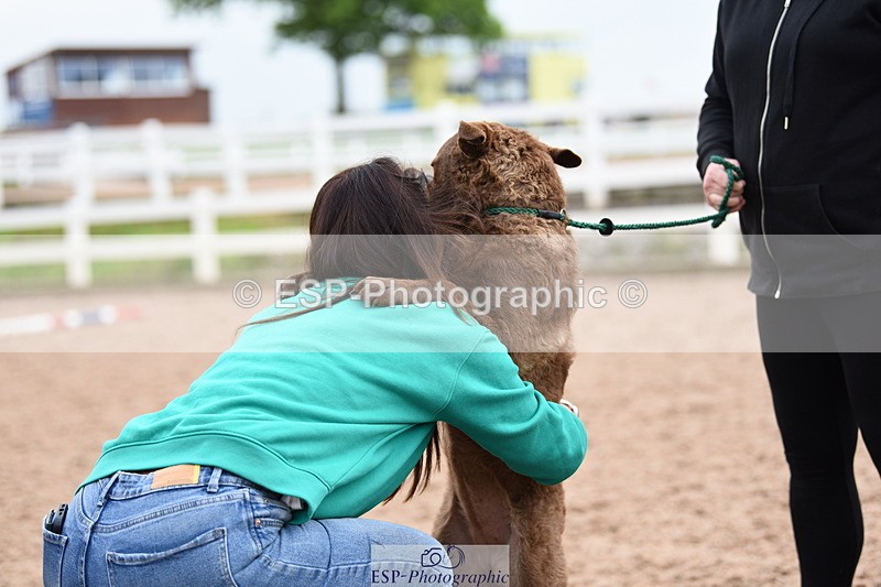 240518A-112236-00769 - Cls 1 Cutest Puppy