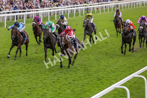 230824-Race 4-Bradsell-8406 - Race 4 3.35pm Coolmore Wootton Bassett Nunthorpe Stakes