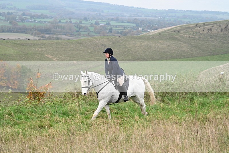 WJ7_0071 - Camera 1 & Last fence