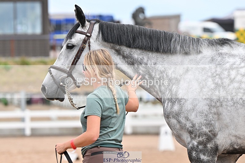 250716-143609-01237 - Trot Up 2.30 to 3.30