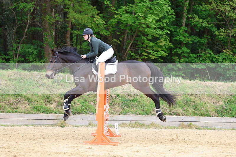 3E7A6527 - Class 4: Senior British Novice/90cm open