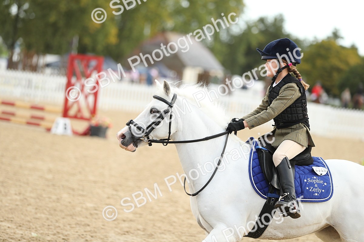 SBM_34191 - J60 Clear Round 50cm