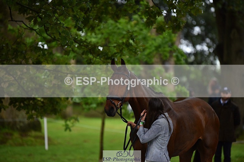 240522-153632-00472 - 381-MADFORD_LAW-Anna_Johannson