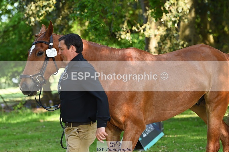 230524-164704-01084 - 111-CREEVAGHSTABLES_IFICUDIWUD-Tim_Cheffings-WEDTrotUp+DR