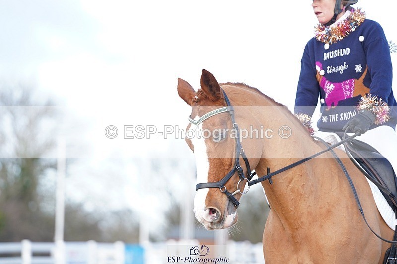 241214-132402-00609 - 134-Melanie.Haslock-Minnie.I