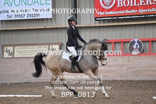 BPP_0813 - 7 - L MITCHELL