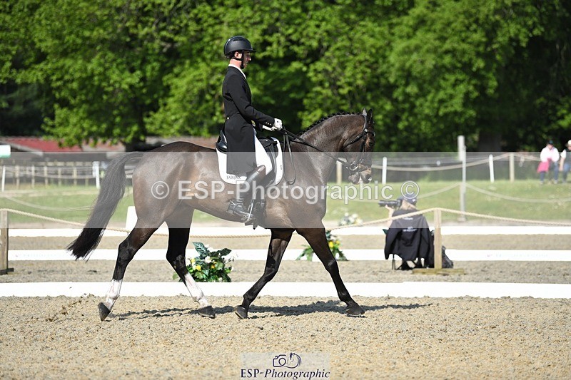 230525-094519-01659 - 309-PLOT_TWIST_B-Tom_Jackson-WEDTrotUp+DR