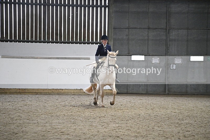 WJ7_3635 - Class 16 Ridden Coloured/ Odd Coloured