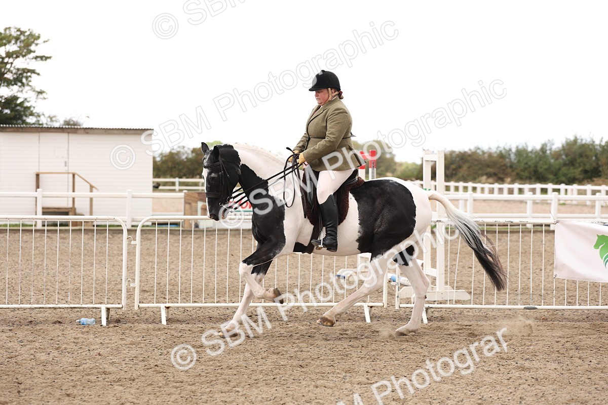 SBM_04205 - Class 54 - Riding Club Horse/Pony
