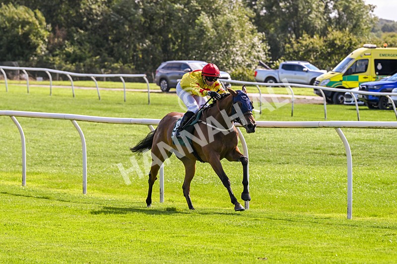 080926-Race 1-Cheeky Chesca-1557 - Race 1 1.53pm Racing To School Nursery Handicap