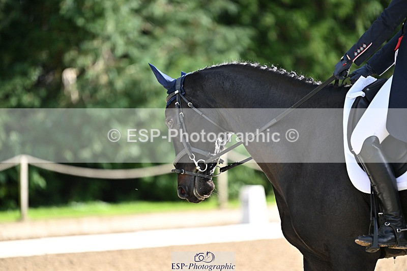 241023-143824-00563 - 002-Ellie.Fredericks-BRITANNIA'S.OLIVE