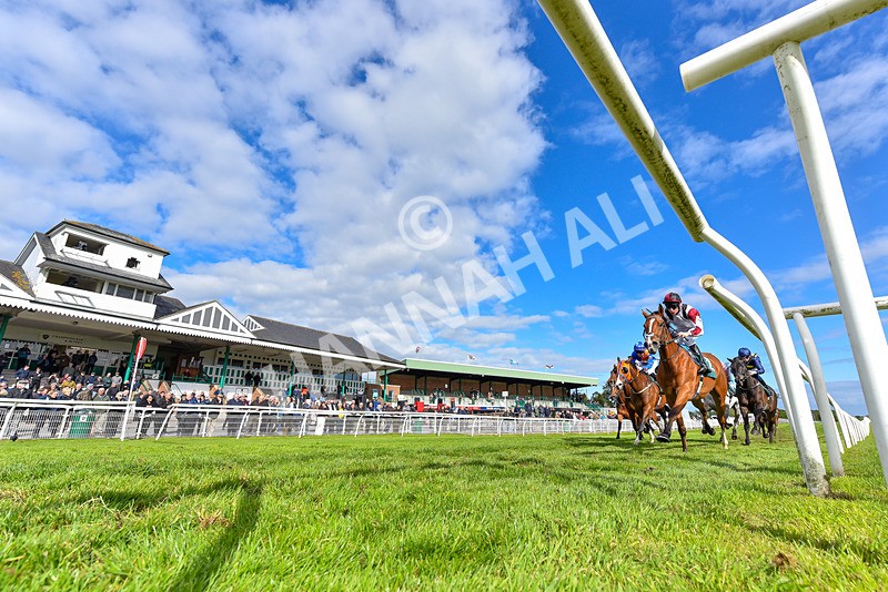 110526-Race 6-Betties Bay-8072 - Race 6 5.00pm Racing Again 21st May Fillies' Handicap
