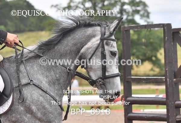 BPP_8918 - CLASS 6 Senior Newcomers/ 1.10m Open