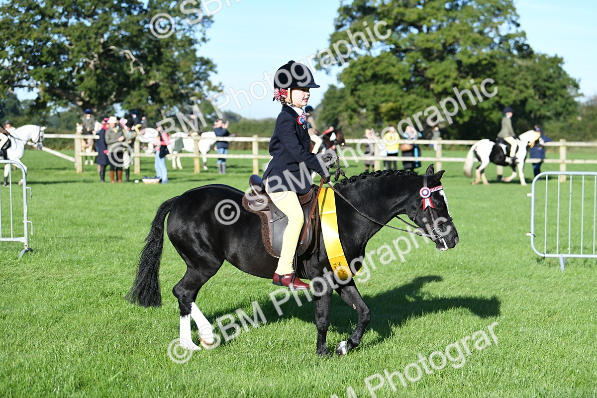 SBM_34137 - S16 - Condition & Turnout - Ridden